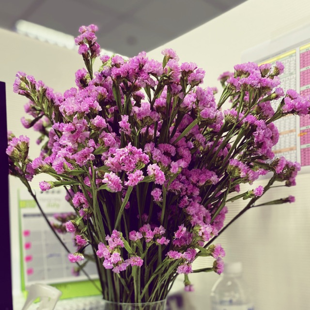 talwan, ร้านค้าออนไลน์ Shopee Thailand