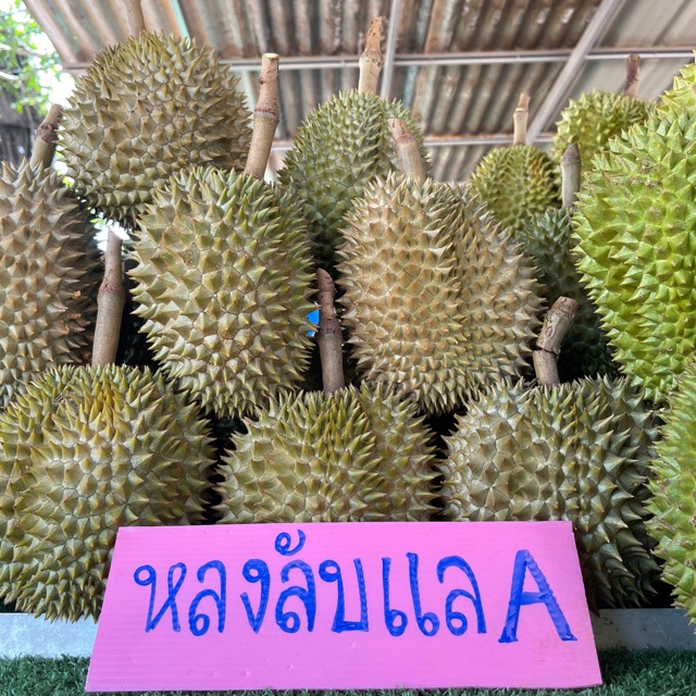 อันดับหนึ่ง 101+ ภาพพื้นหลัง หลงลับแล หลินลับแล ต่างกันอย่างไร ใหม่ที่สุด