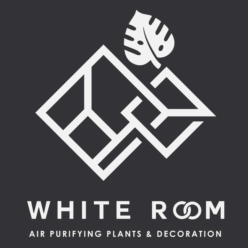 white-room-design-shopee-thailand