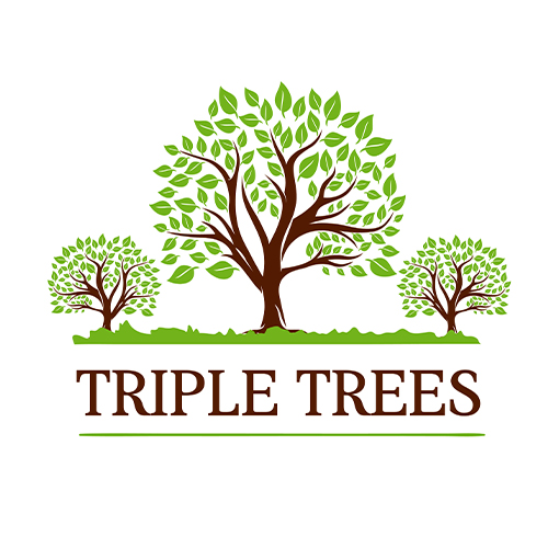 Triple Trees, ร้านค้าออนไลน์ | Shopee Thailand