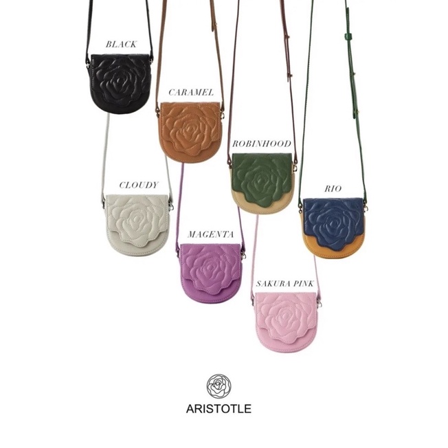 Aristotle bag - Pochette