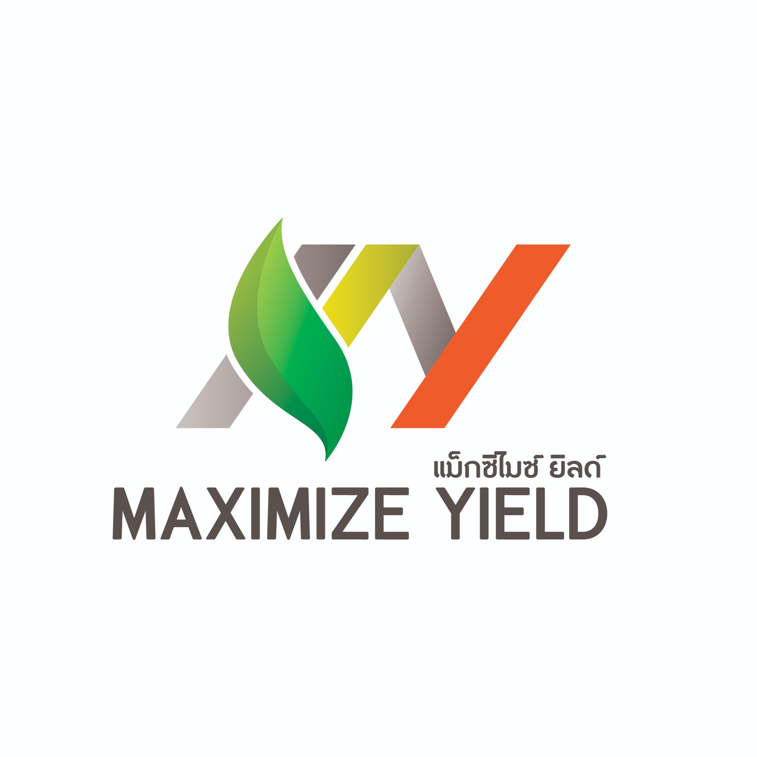 Maximize Yields, ร้านค้าออนไลน์ | Shopee Thailand