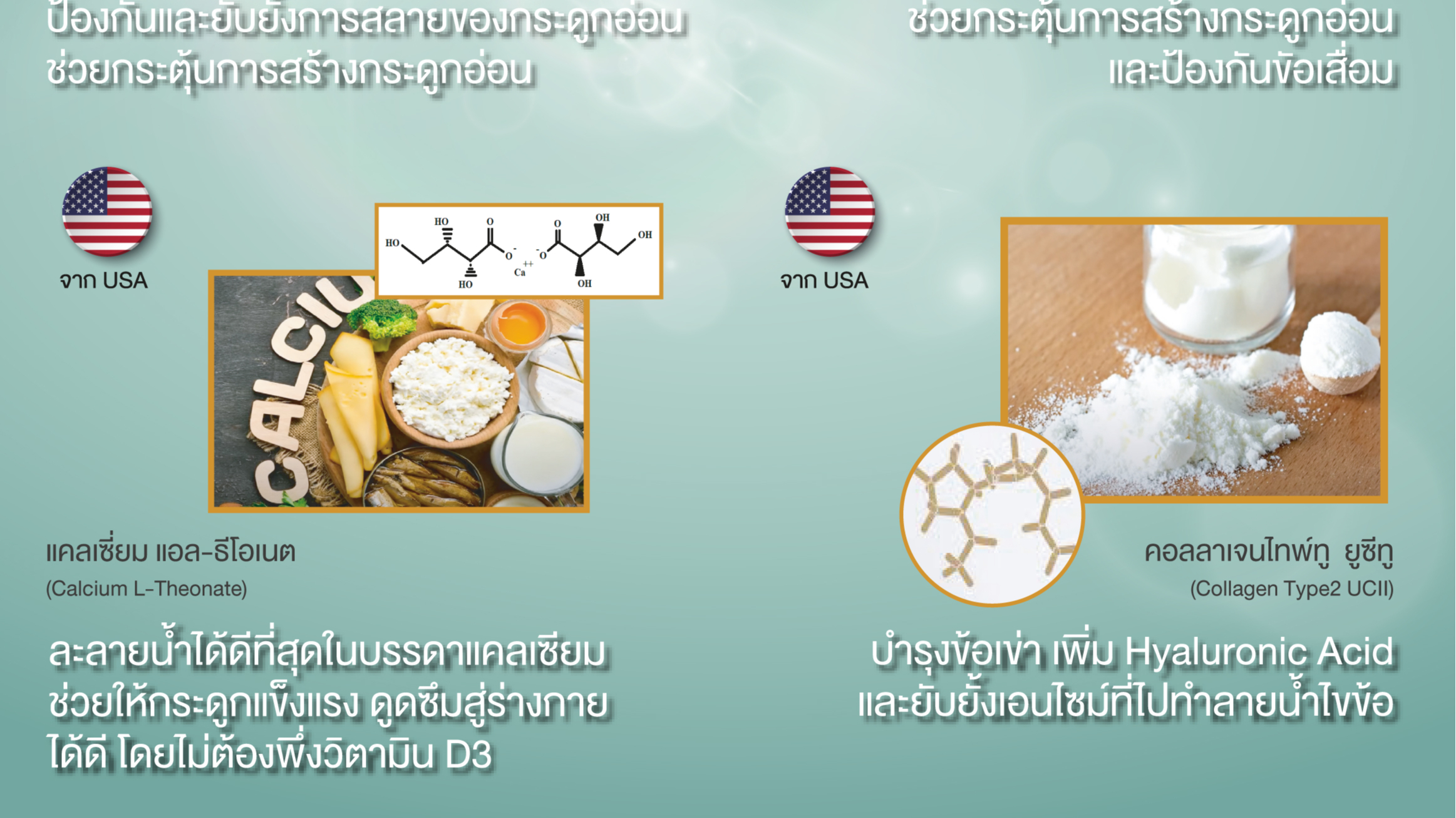 AVOGEN UC-II, ร้านค้าออนไลน์ | Shopee Thailand