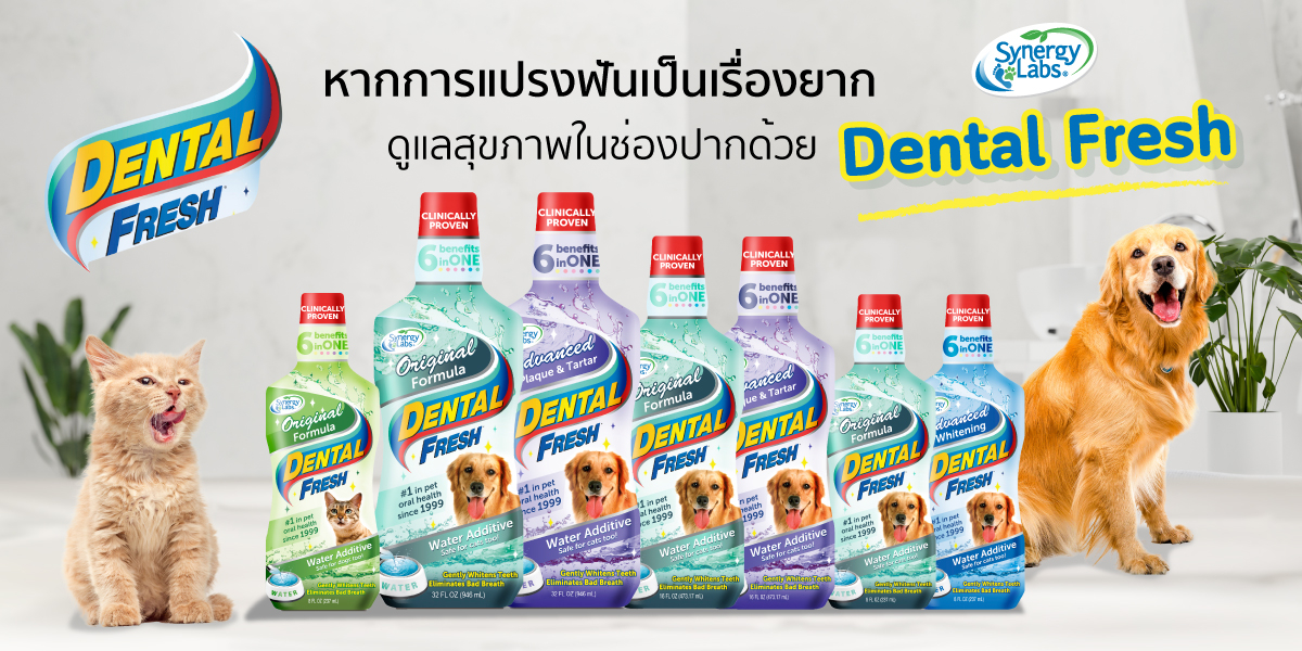 สั่งซื้อสินค้าออนไลน์จาก Yiampanich Official Store Shopee Thailand