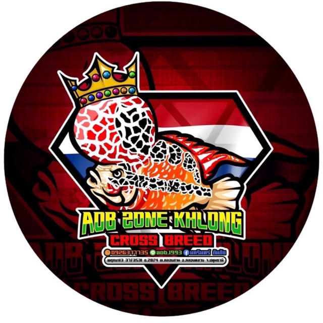 Zone Kong Shop, ร้านค้าออนไลน์ Shopee Thailand