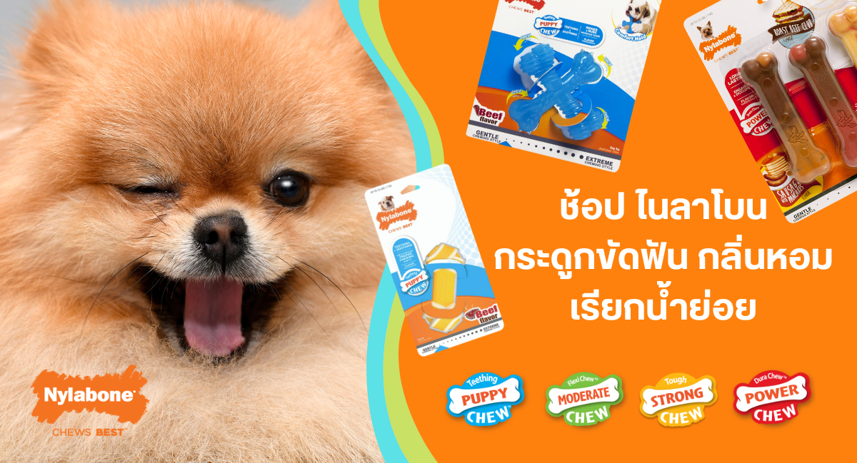 สั่งซื้อสินค้าออนไลน์จาก Shamu Official Store | Shopee Thailand