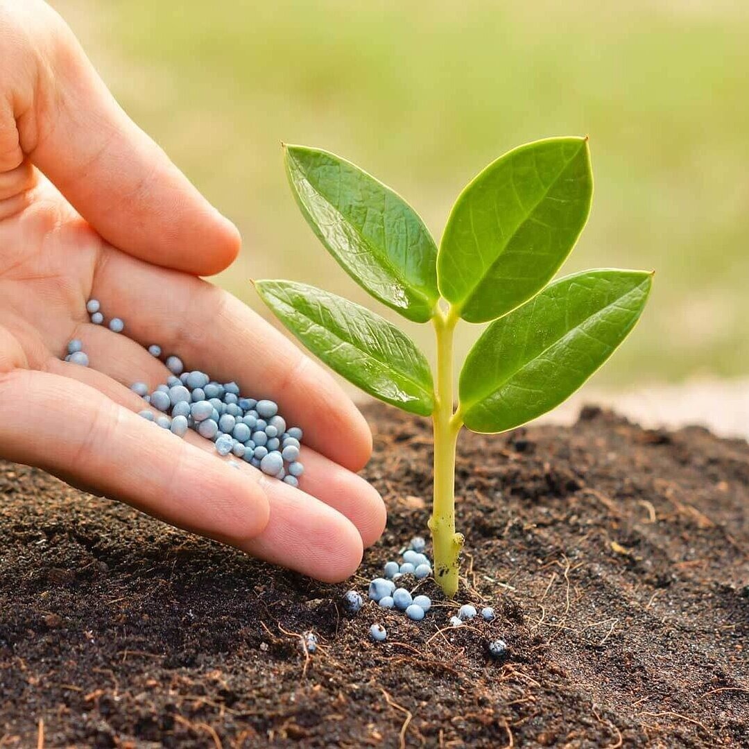 Fertilizer shop ปุ๋ย, ร้านค้าออนไลน์ | Shopee Thailand