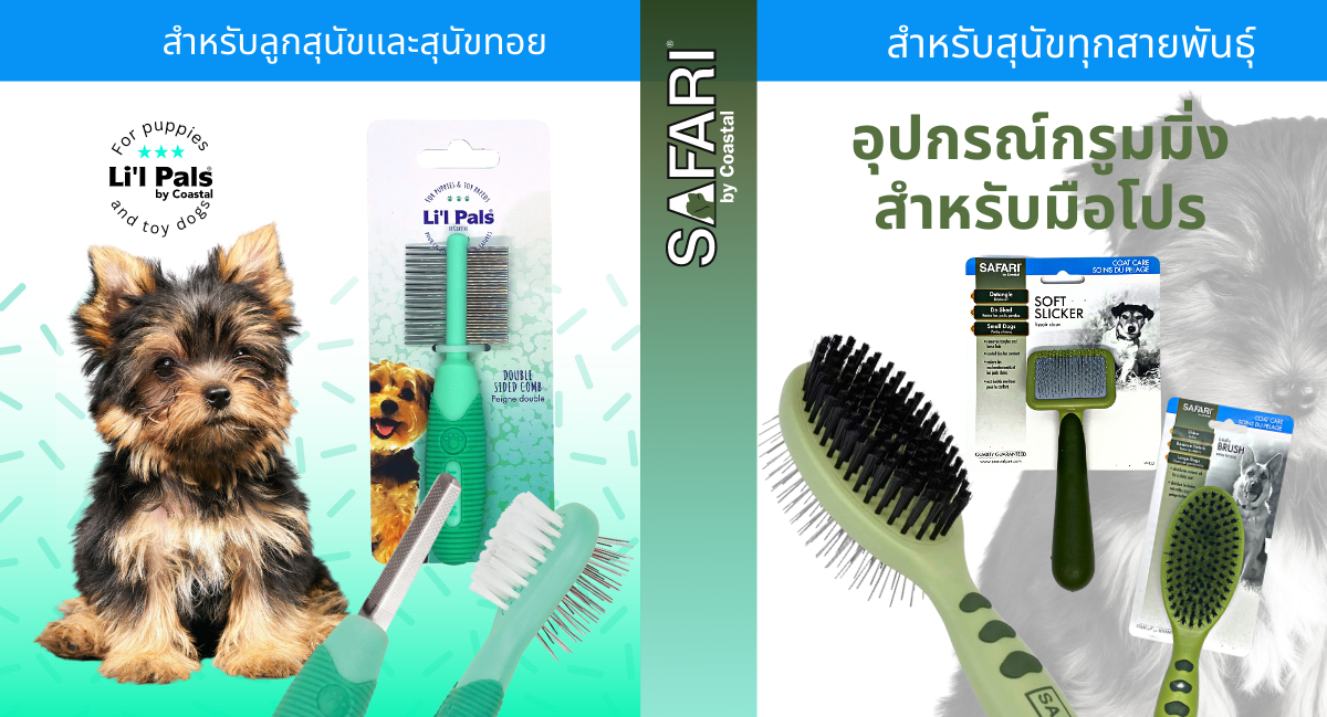 สั่งซื้อสินค้าออนไลน์จาก Shamu Official Store | Shopee Thailand