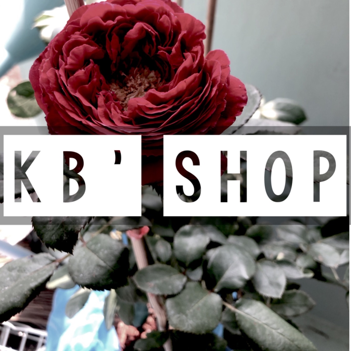 KB' Shop, ร้านค้าออนไลน์ | Shopee Thailand
