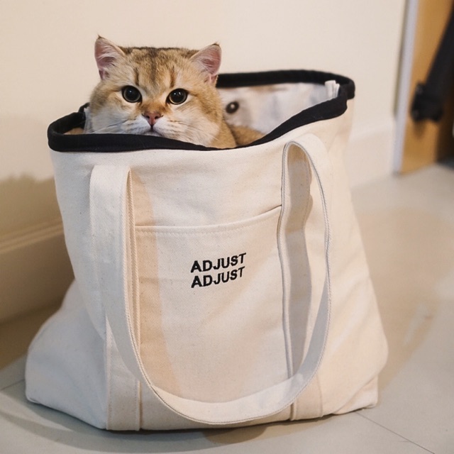 amsthyy, ร้านค้าออนไลน์ | Shopee Thailand