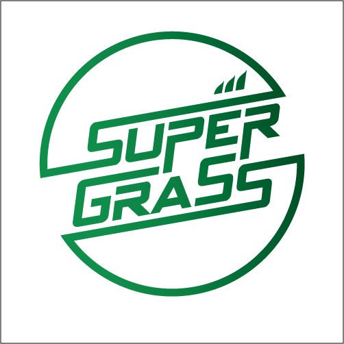 หญ้าเทียม Super Grass, ร้านค้าออนไลน์ | Shopee Thailand