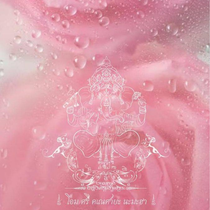 Red Rose Shop, ร้านค้าออนไลน์ Shopee Thailand