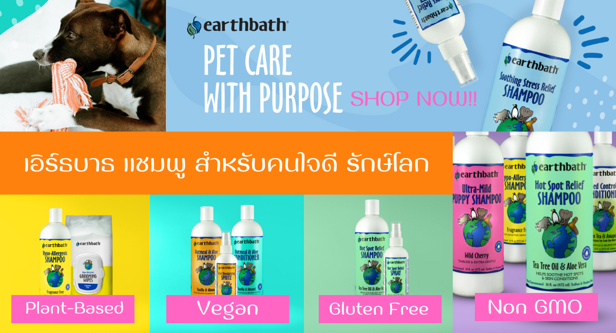 สั่งซื้อสินค้าออนไลน์จาก Shamu Official Store | Shopee Thailand