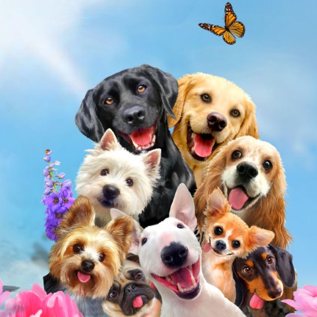 ton_mangkorn, ร้านค้าออนไลน์ | Shopee Thailand