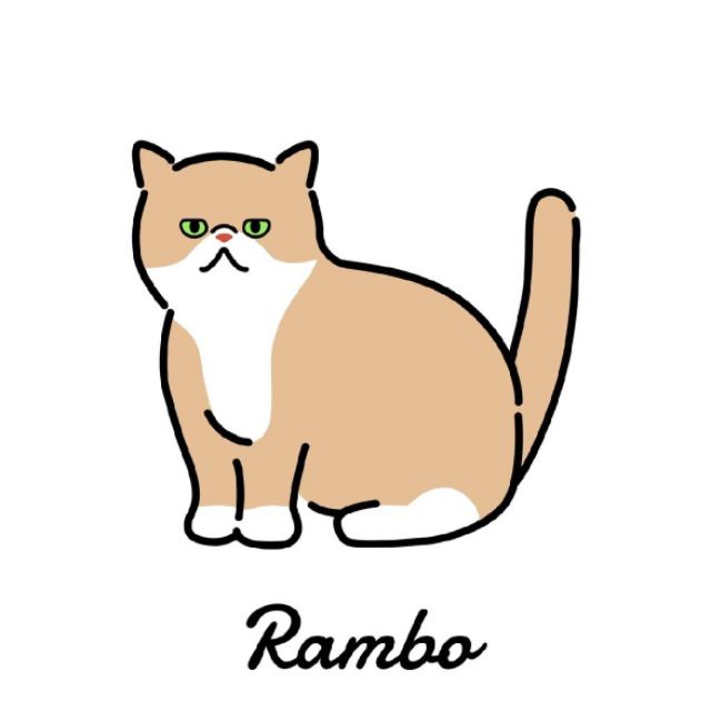 Rambo แมวหล่อขายเสื้อ, ร้านค้าออนไลน์ | Shopee Thailand