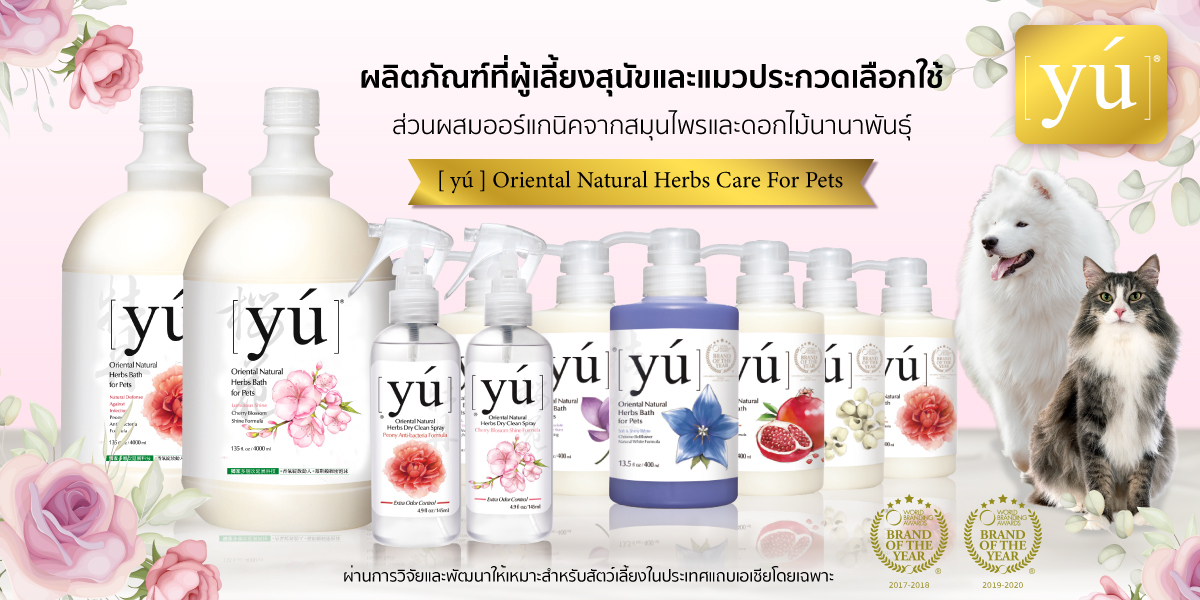 สั่งซื้อสินค้าออนไลน์จาก Yiampanich Official Store Shopee Thailand