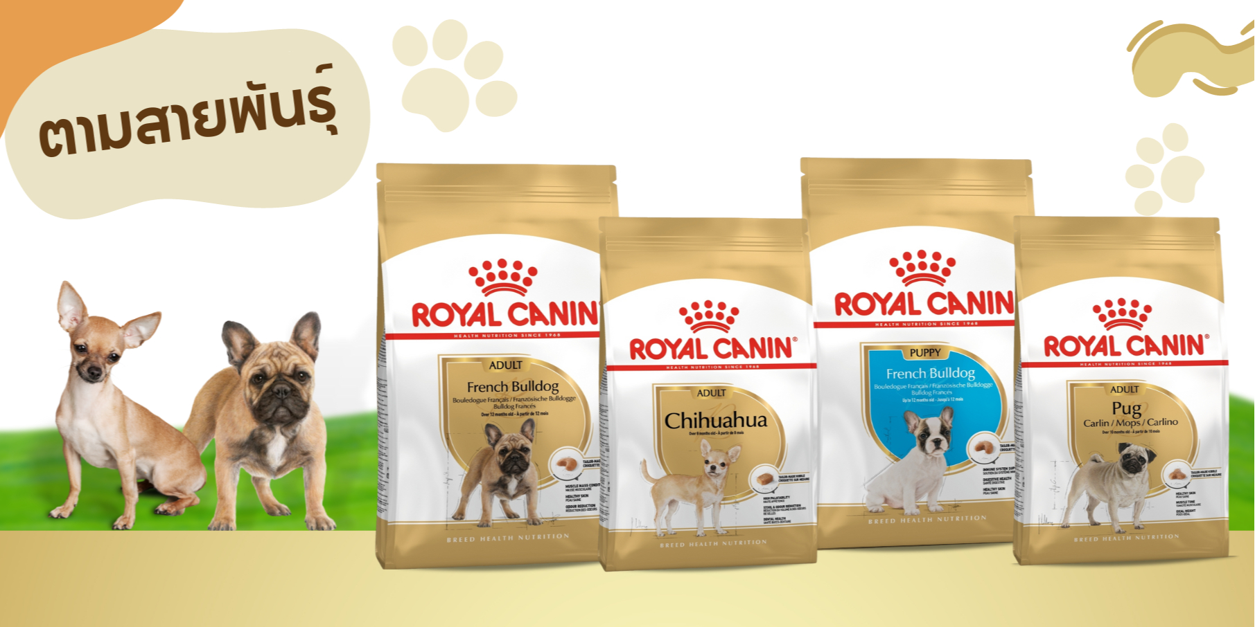 Pet Super Store, ร้านค้าออนไลน์ Shopee Thailand