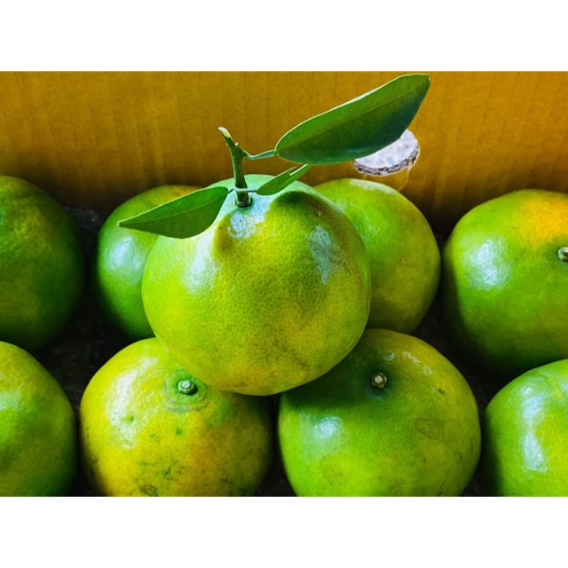 Chapo_ fruit, ร้านค้าออนไลน์ | Shopee Thailand