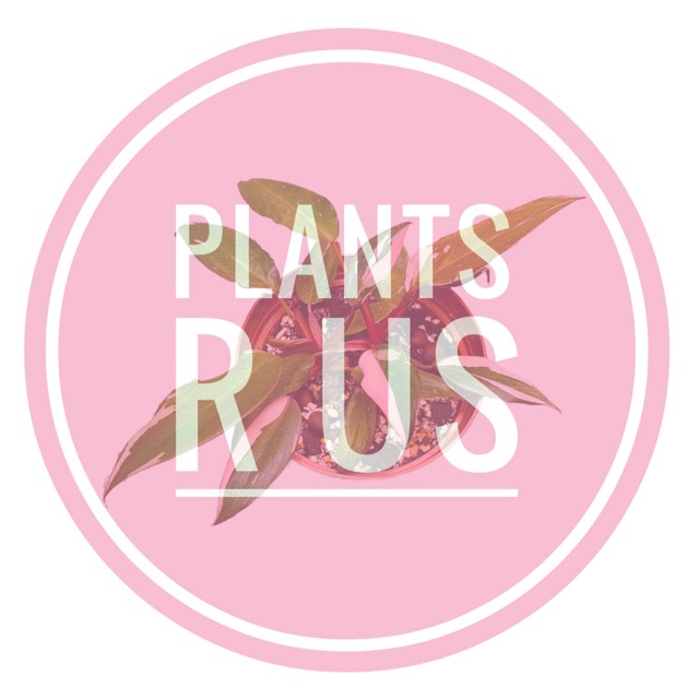 Plants R Us, ร้านค้าออนไลน์ | Shopee Thailand