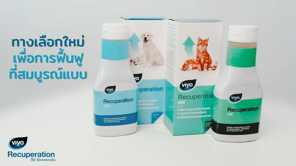 สั่งซื้อสินค้าออนไลน์จาก Viyo Thailand Official | Shopee Thailand