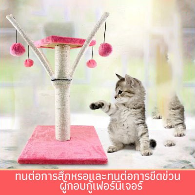 Pet shop store, ร้านค้าออนไลน์ | Shopee Thailand
