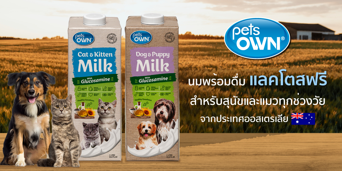 สั่งซื้อสินค้าออนไลน์จาก Yiampanich Official Store Shopee Thailand