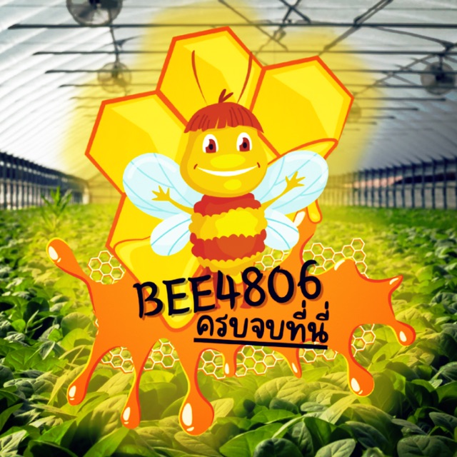 Bee4806, ร้านค้าออนไลน์ | Shopee Thailand