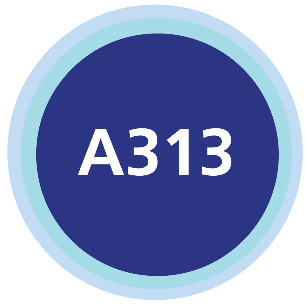 a313_official, ร้านค้าออนไลน์ | Shopee Thailand