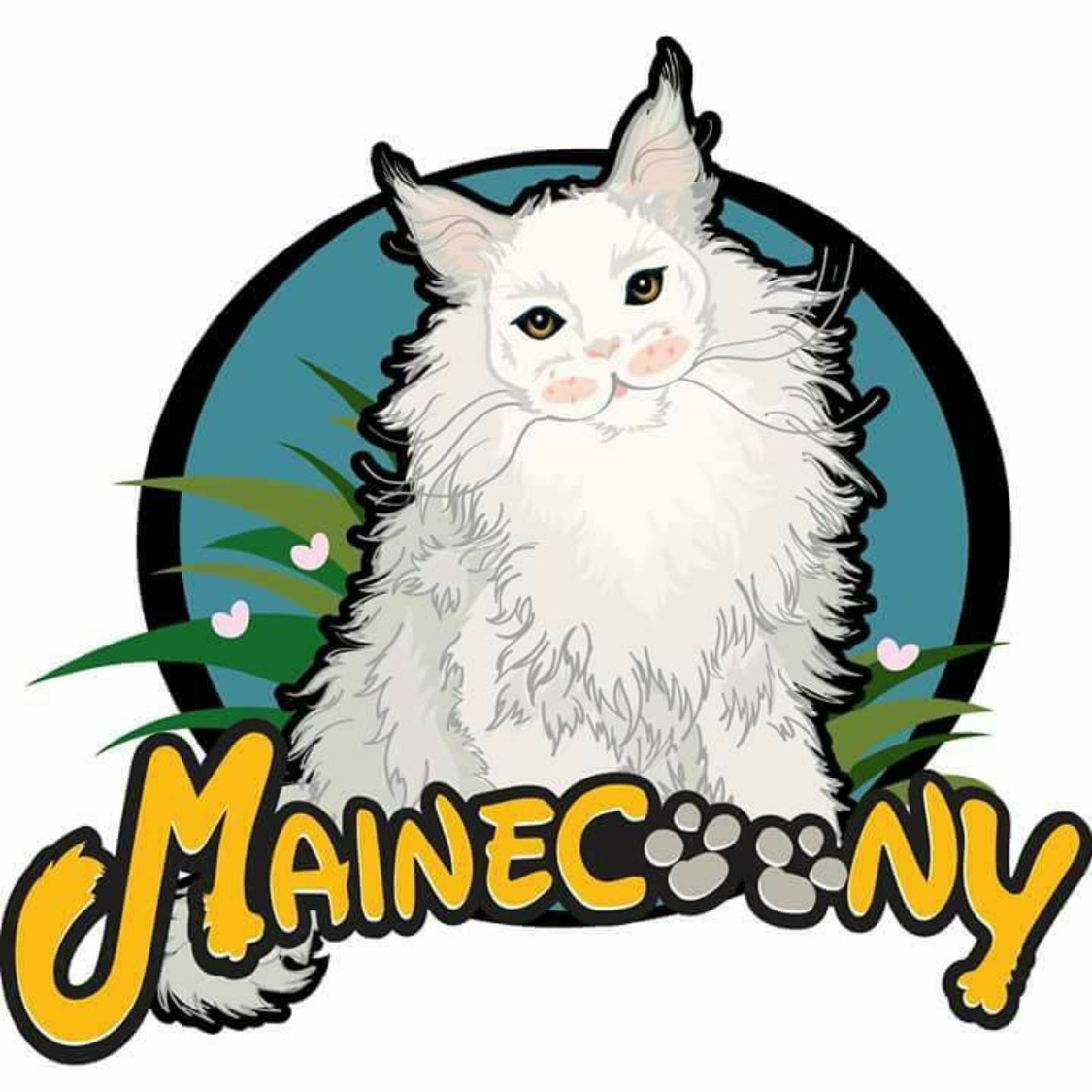 Mainecoony Cattery, ร้านค้าออนไลน์ | Shopee Thailand
