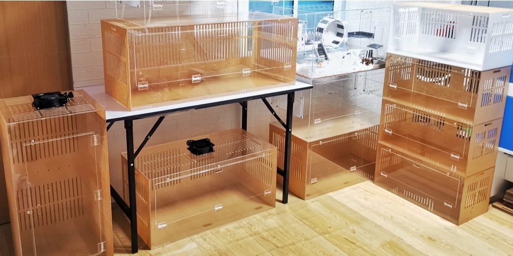 Hamster Box Thailand, ร้านค้าออนไลน์ | Shopee Thailand