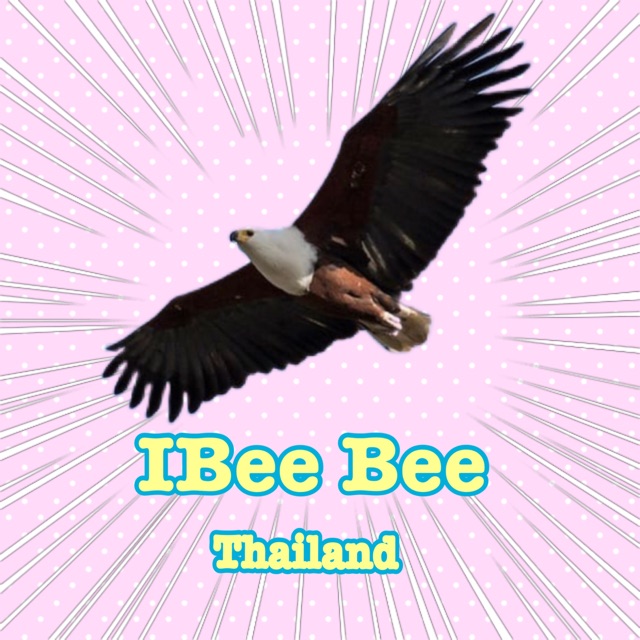 beebee1302, ร้านค้าออนไลน์ | Shopee Thailand