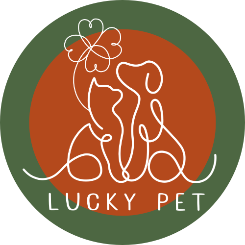 ร้านค้าออนไลน์ Shopee Thailand