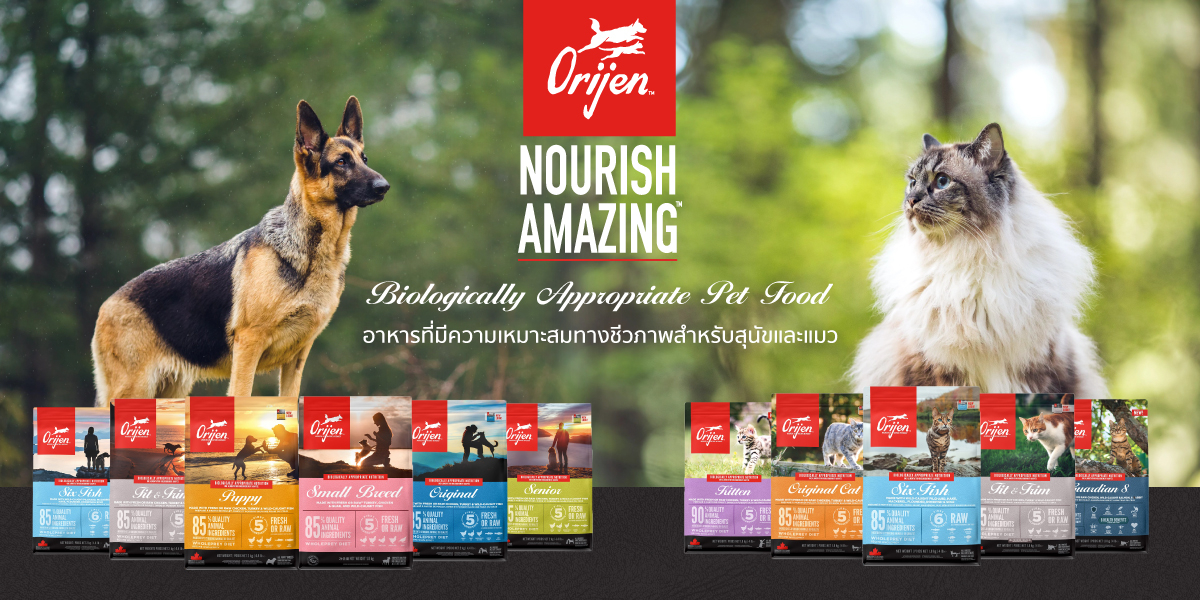 สั่งซื้อสินค้าออนไลน์จาก Yiampanich Official Store Shopee Thailand