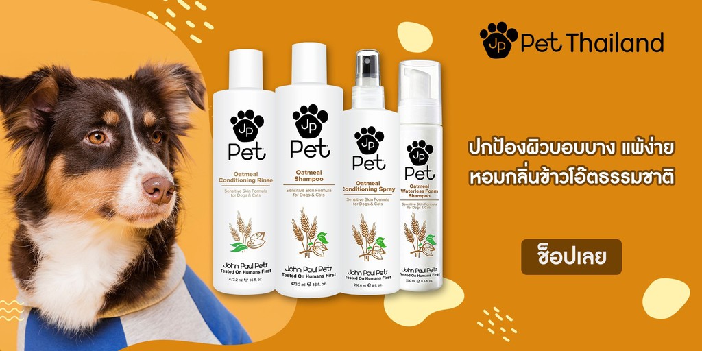 Oatmeal Conditioning Spray– John Paul Pet