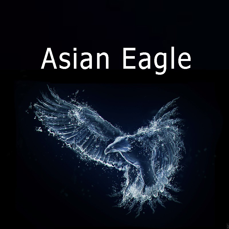 Asian Eagle, ร้านค้าออนไลน์ Shopee Thailand