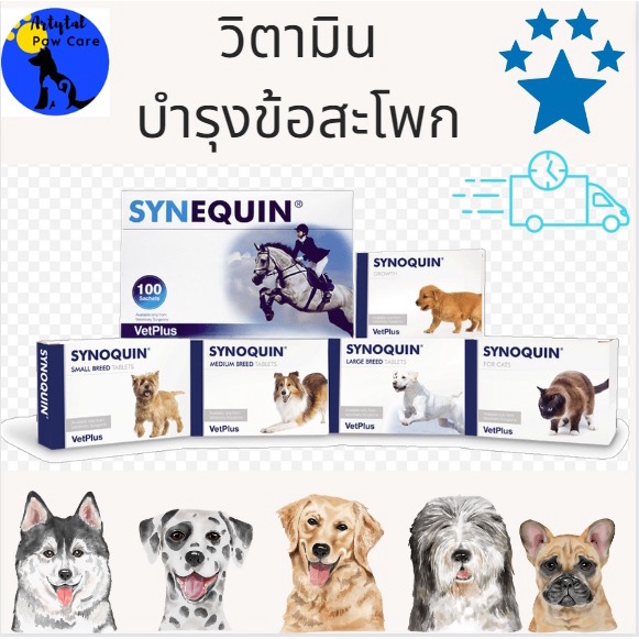 Synequin for outlet dogs