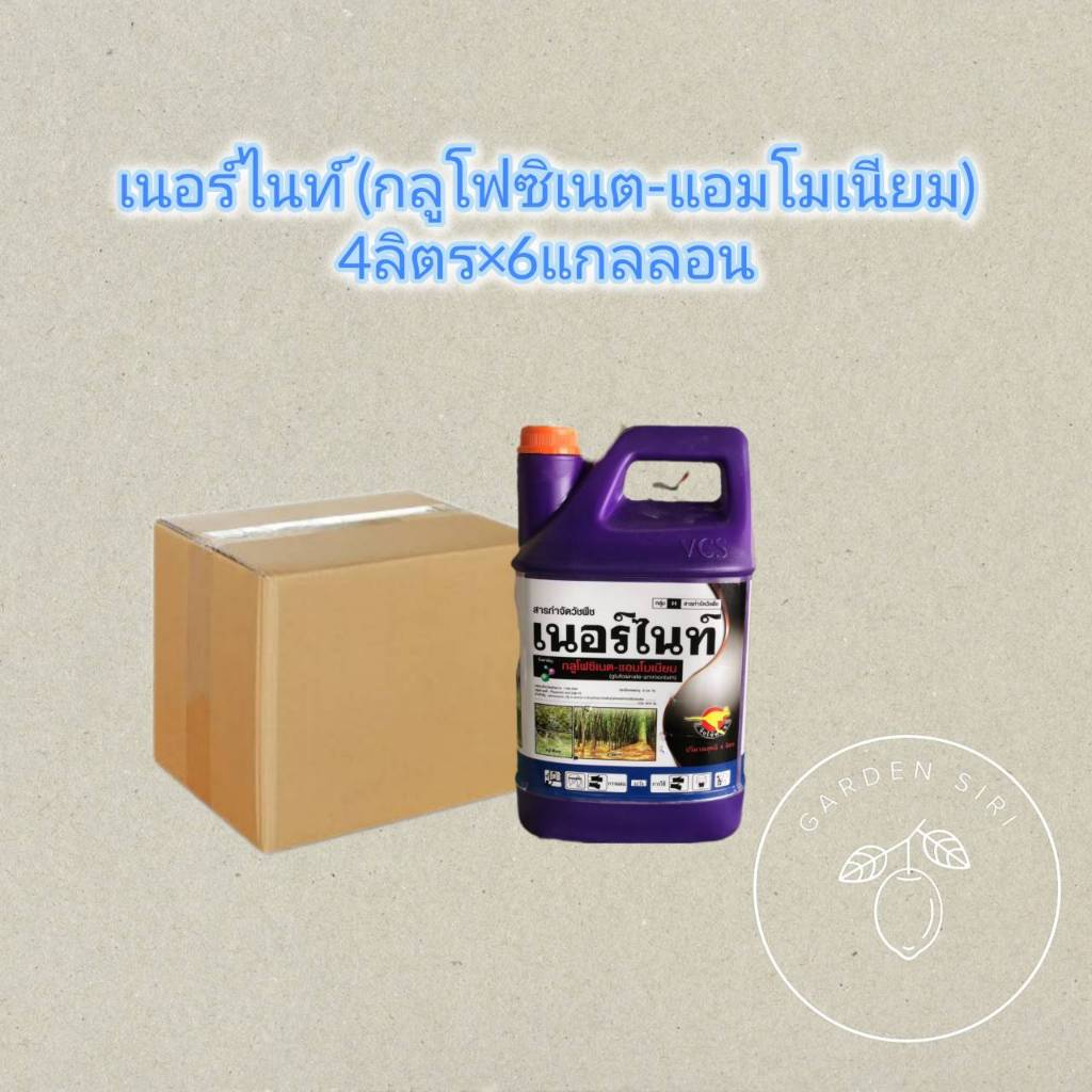 เนอร์ไนท์ ขนาด 4ลิตร (ยกลัง) (กลูโฟซิเนตแอมโมเนียม 15) ตราจิงโจ้ทอง