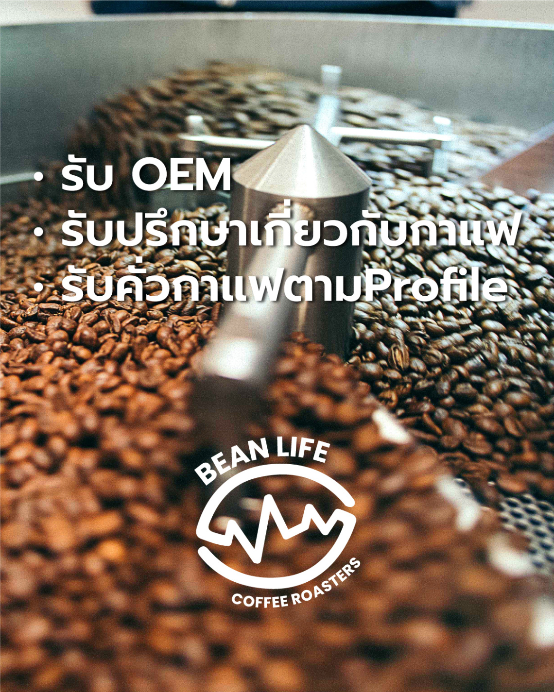 Bean life coffee roasters, ร้านค้าออนไลน์ Shopee Thailand
