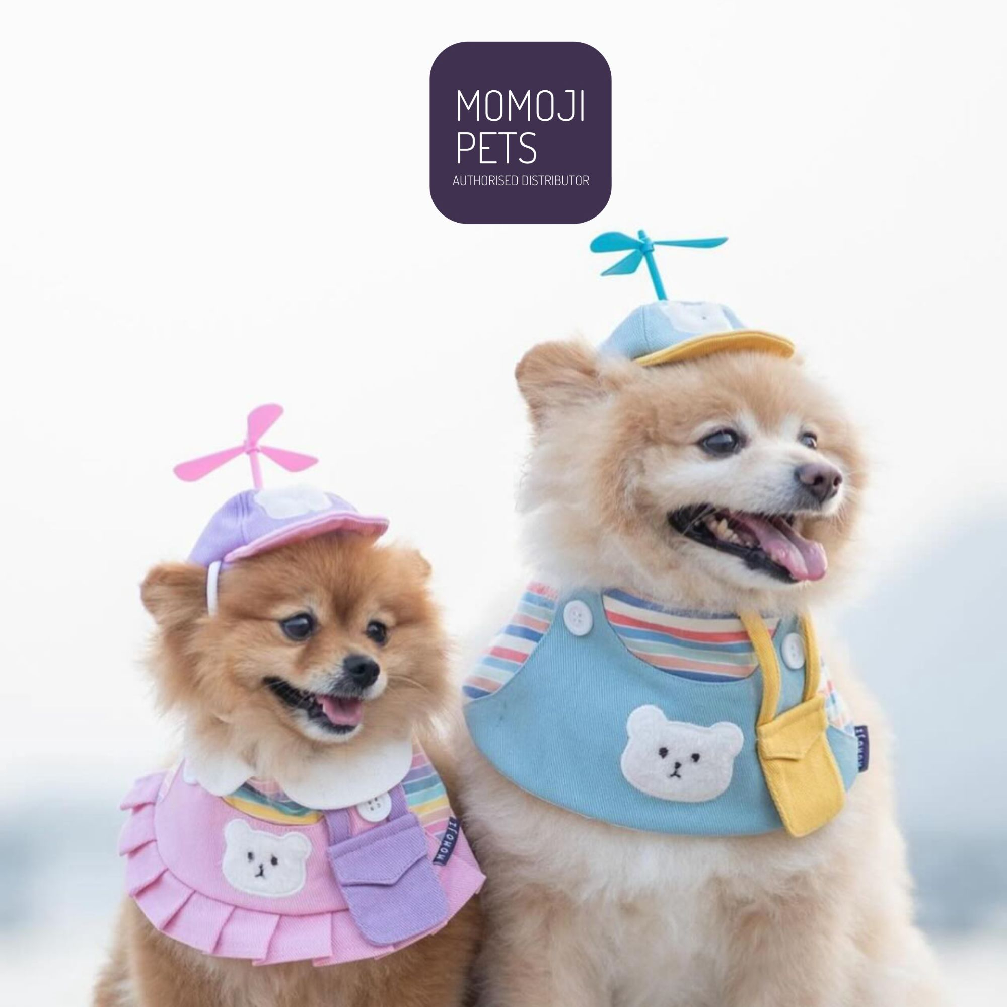 Momoji Official, ร้านค้าออนไลน์ | Shopee Thailand