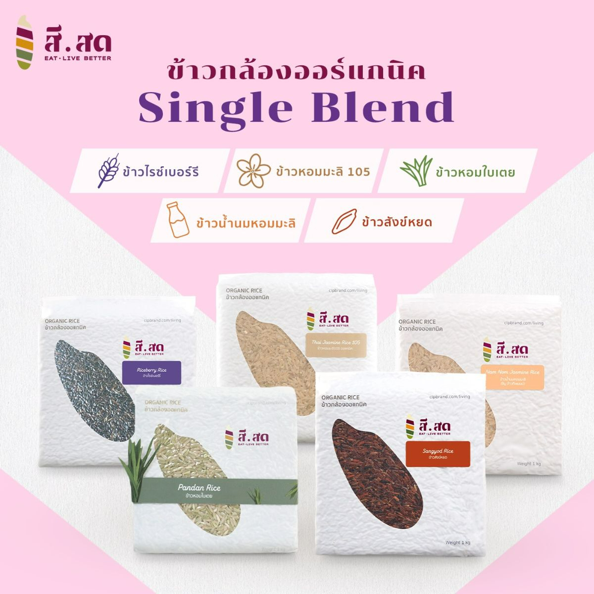 Sisod (สีสด), ร้านค้าออนไลน์ | Shopee Thailand