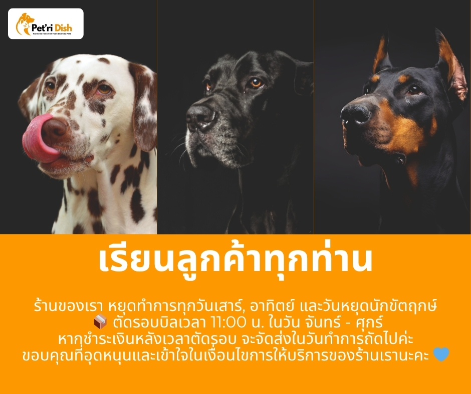 Pet'ri Dish, ร้านค้าออนไลน์ | Shopee Thailand