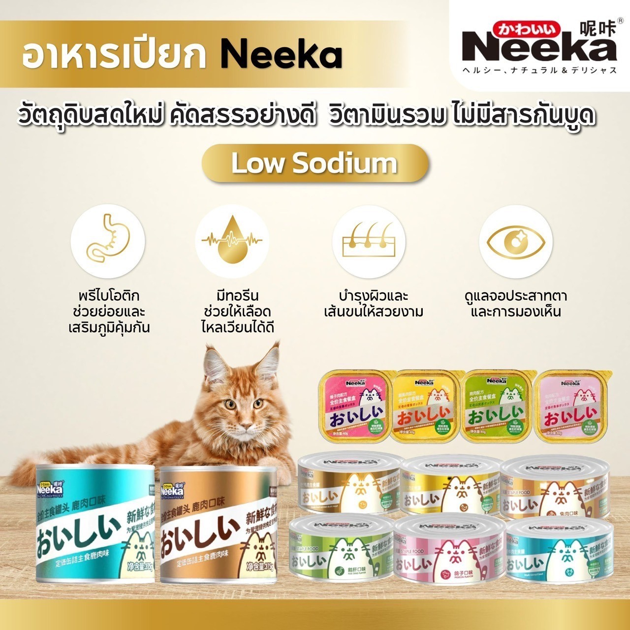 Neeka Thailand, ร้านค้าออนไลน์ | Shopee Thailand