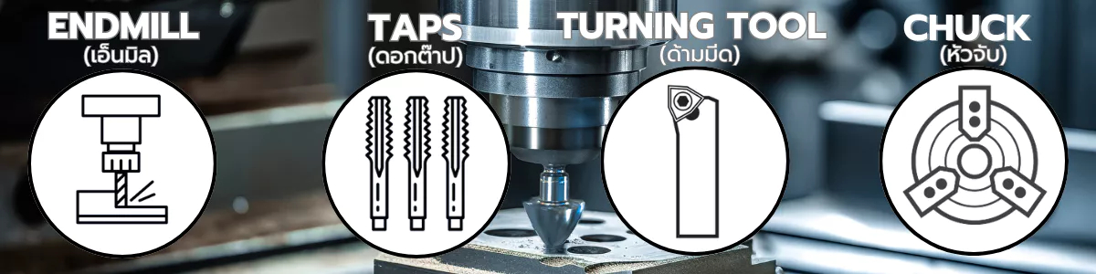 Lilo Tools, ร้านค้าออนไลน์ | Shopee Thailand