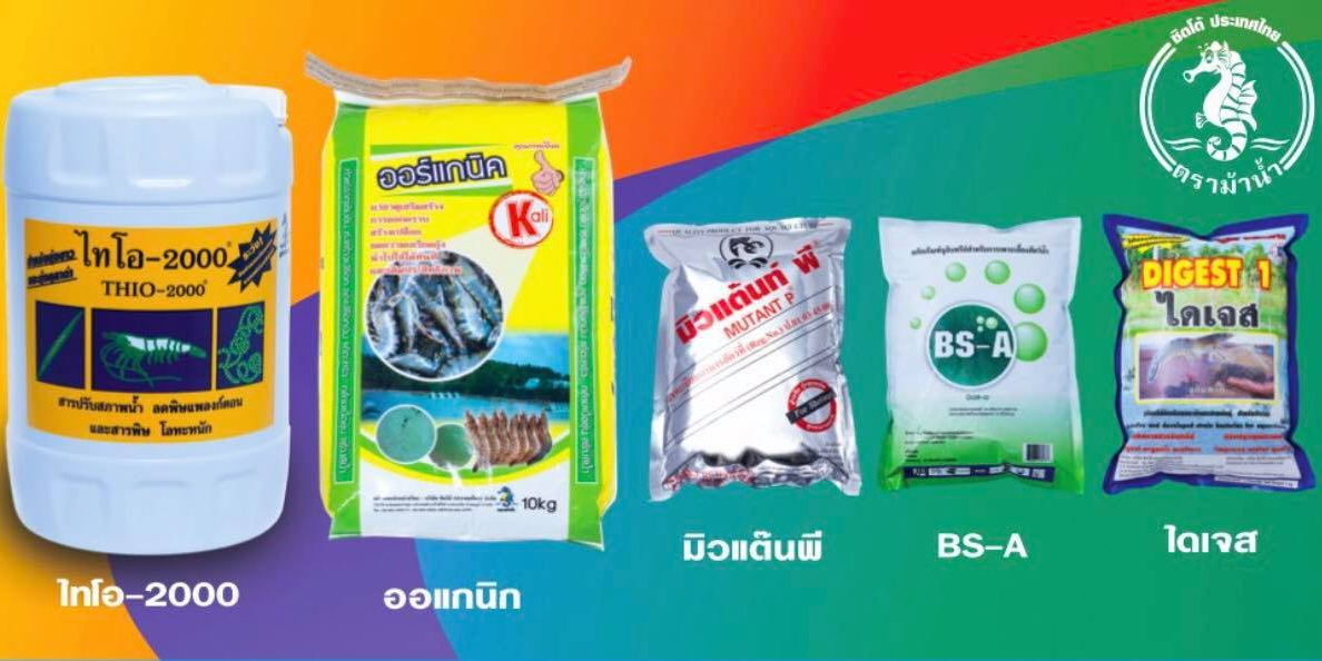 Sitto Thailand, ร้านค้าออนไลน์ | Shopee Thailand