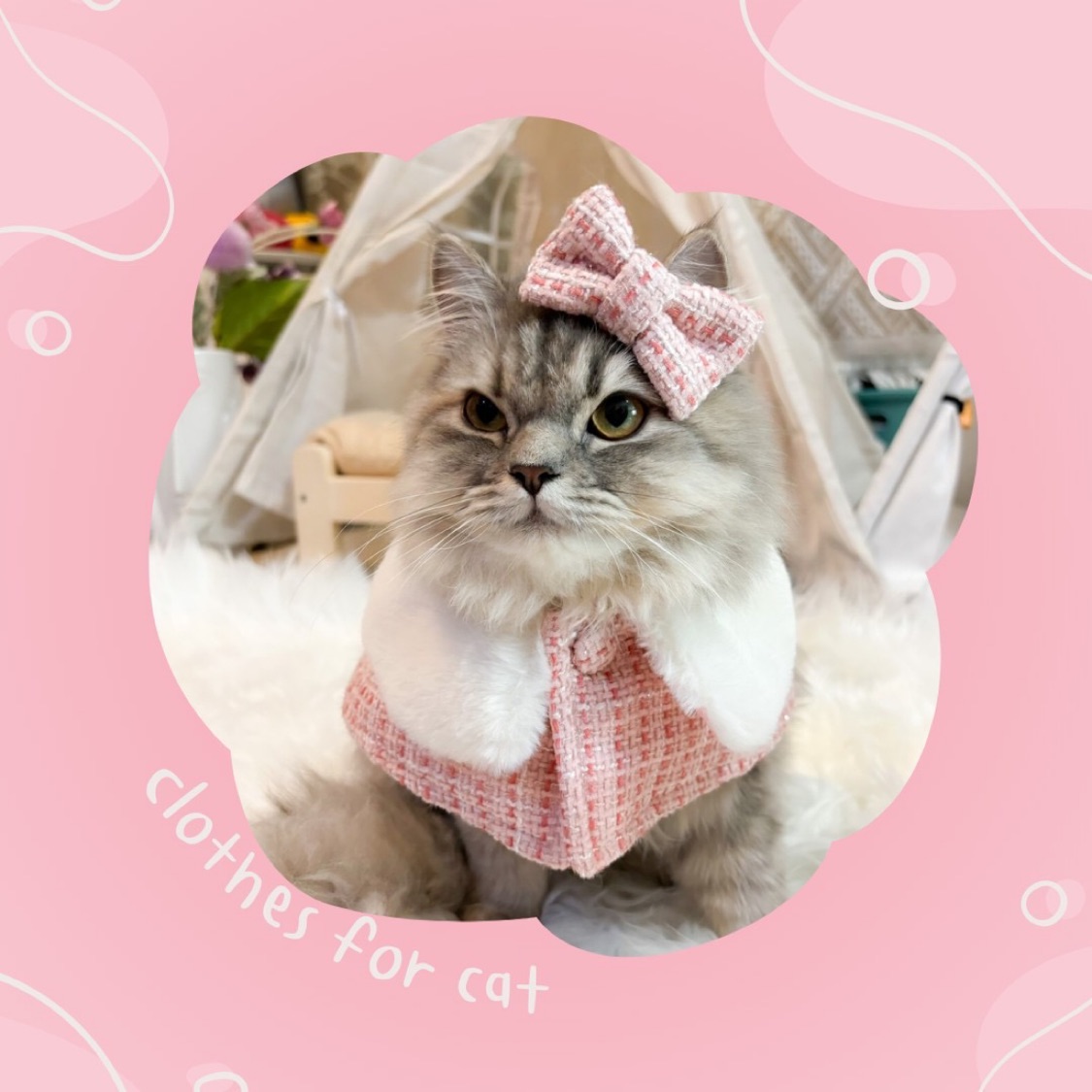 Little dog clothes used shopee thailand