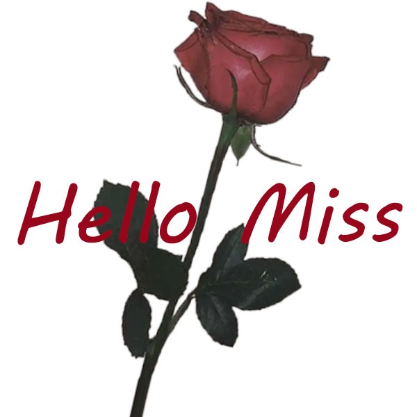 Hello Miss.com, ร้านค้าออนไลน์ | Shopee Thailand