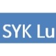 SYK Lubricant, ร้านค้าออนไลน์ | Shopee Thailand