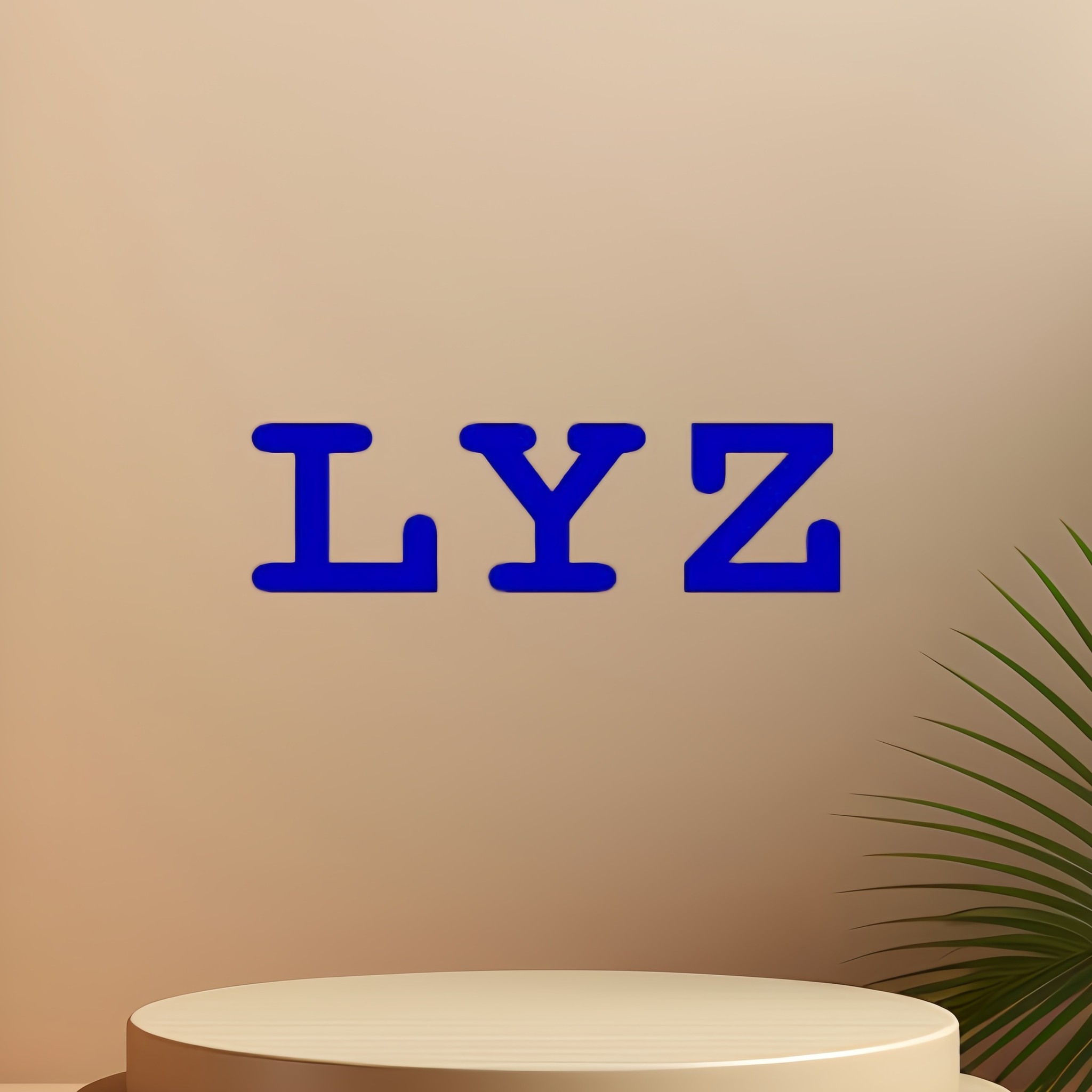 LYZ Store, ร้านค้าออนไลน์ | Shopee Thailand