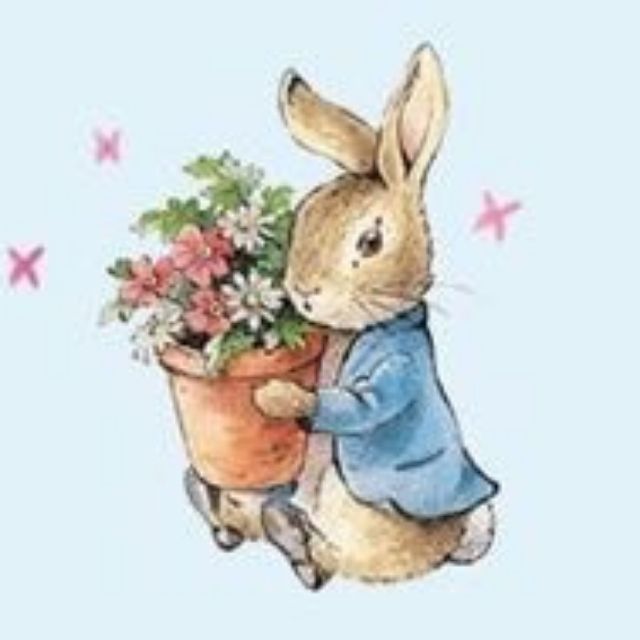 Ms.Rabbit, ร้านค้าออนไลน์ | Shopee Thailand