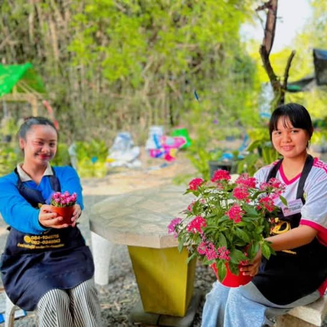 Tree shop🌱🩷, ร้านค้าออนไลน์ | Shopee Thailand